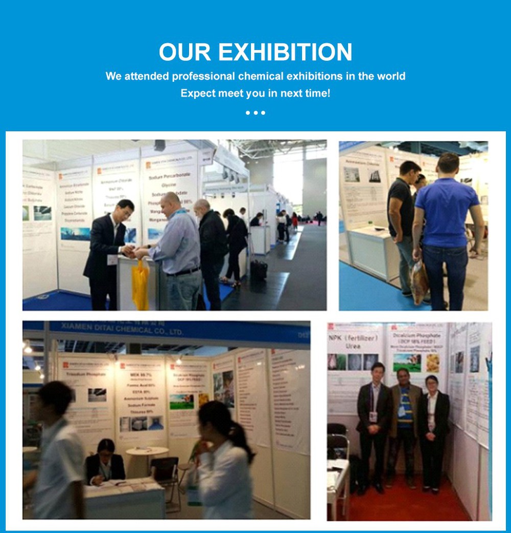 EXHIBITION EXHIBITION